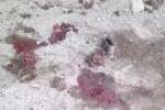 کشف ردپاي قطر در حادثه تروريستي چابهار