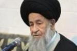 حکم اعدام شیخ نمر از سوی همه شیعیان محکوم است