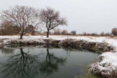 طبیعت زمستانی تالاب‌های اطراف دریاچه ارومیه